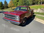 Dodge D100 Custom Pickup 1979 года
